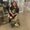 Photo of Sienna S.