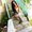 Photo of Shaneal R.