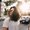 Photo of Manal C.
