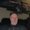 Photo of Rodney G.