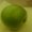 Photo of Malicious S.