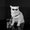Photo of Merri S.