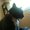 Photo of Shamus B.