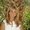 Photo of Rhonda S.