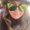 Photo of Amanda F.