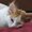 Photo of Fifi L.