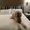 Photo of Tiffanie F.