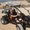 Photo of Qype User (jamesd…)