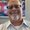 Photo of Kevin B.