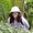 Photo of Michelle D.