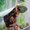 Photo of Navya A.