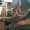 Photo of Zeina S.