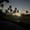 Photo of Almetria J.