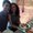 Photo of Sneha S.