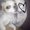 Photo of Josephine ..