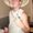 Photo of Zacharia S.