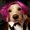 Photo of AirBud D.