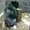 Photo of Biggish S.