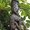 Photo of Tangaroa R.