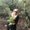 Photo of Kristi S.
