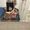 Photo of Dilene K.