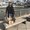 Photo of Rehan M.