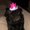 Photo of Bree S.