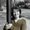 Photo of Stacia C.