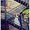 Photo of Addison R.