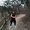 Photo of Ivon R.