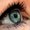 Photo of Sheri L.