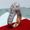 Photo of Garegin M.