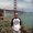 Photo of Chris N.