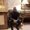 Photo of Ladun T.