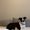 Photo of Addie M.