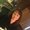 Photo of Trina W.