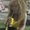 Photo of Nicole I.