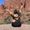 Photo of Stephani Y.