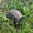 Photo of Gerrica L.
