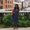 Photo of Shruti S.