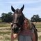 debbie w. profile picture
