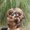 Photo of karen z.