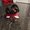 Photo of Josette G.