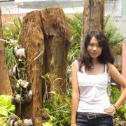 google avatar