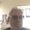 Photo of Scot M.
