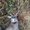 Photo of Quint B.