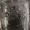 Photo of Erian R.