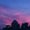Photo of Laura F.