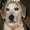 Photo of Debi M.