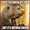 Photo of KC P.